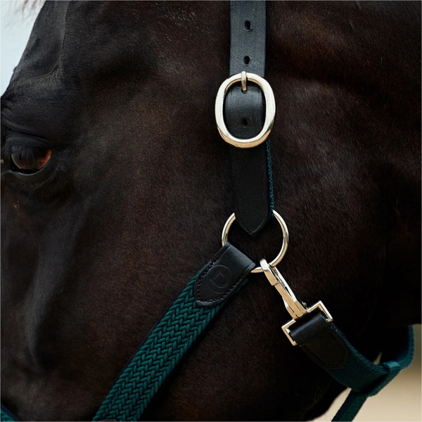 2026 Dublin Braided Leather Headcollar 1031532 - Hunter Green